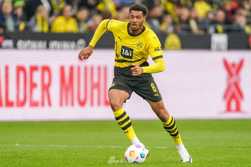 俊已经显现 俊已经显现